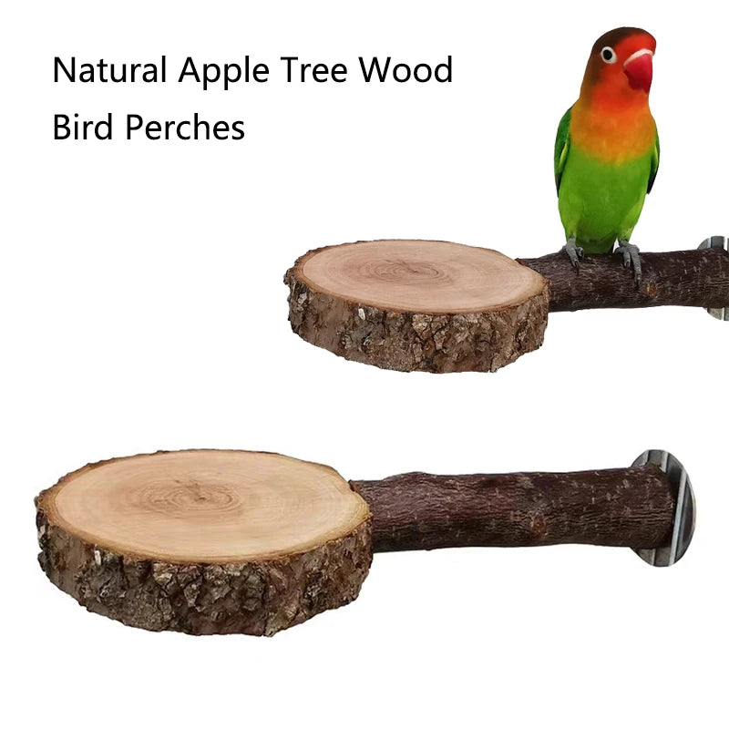 Apple Wood Bird Perch