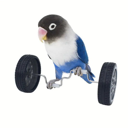 Whimsical Parrot Training Wheels