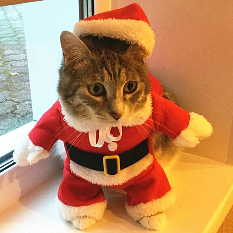 Christmas Outfit for Cat