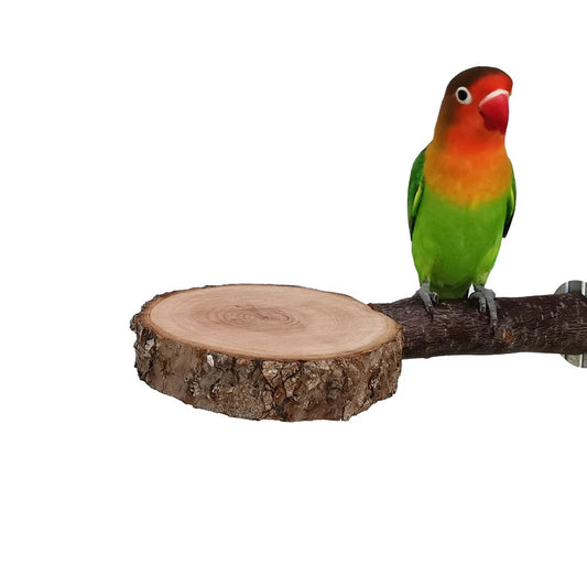 Apple Wood Bird Perch