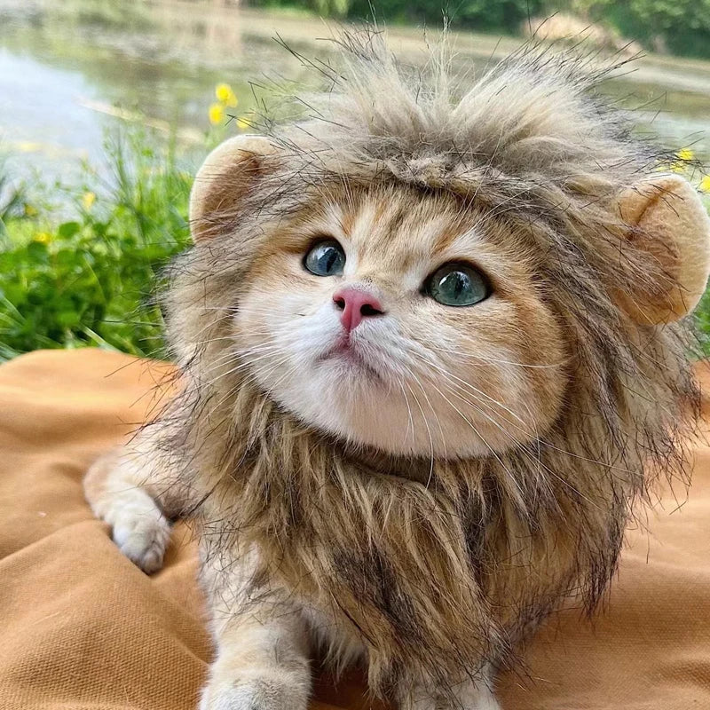 Lion costume for cat - Lion Wig