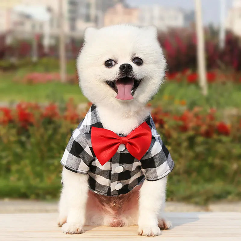 Checkered Bowtie Dog Shirt