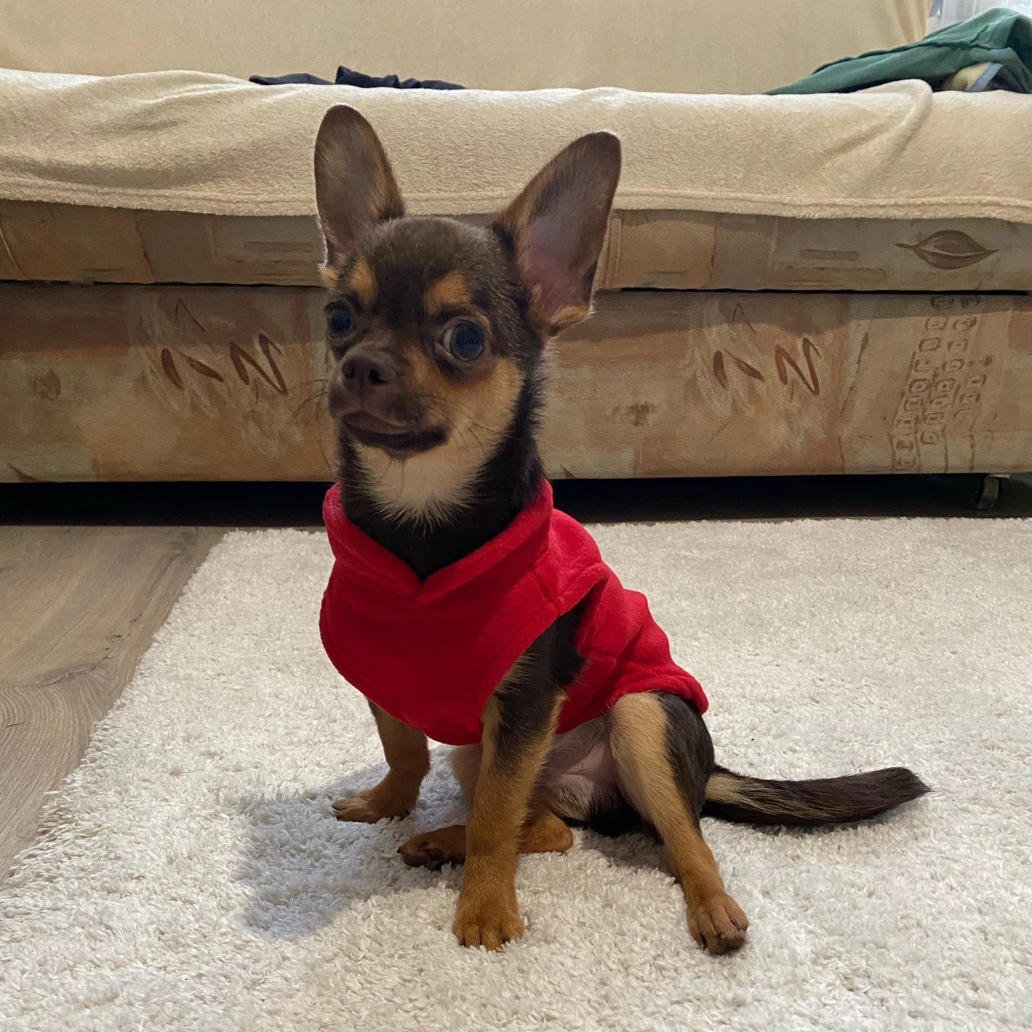 Fleece Dog Harness Jacket - Comfortable Warmth for Every Walk