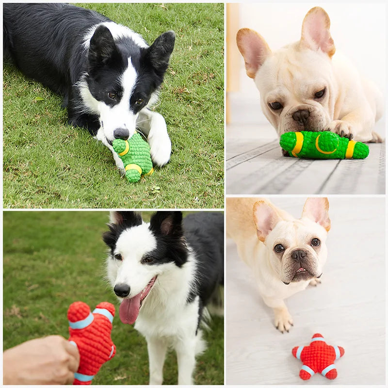 Puppy Volleyball Play Ball