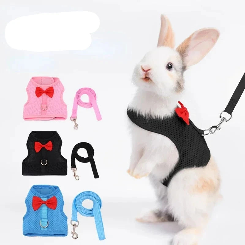 Chic Rabbit Walking Gear