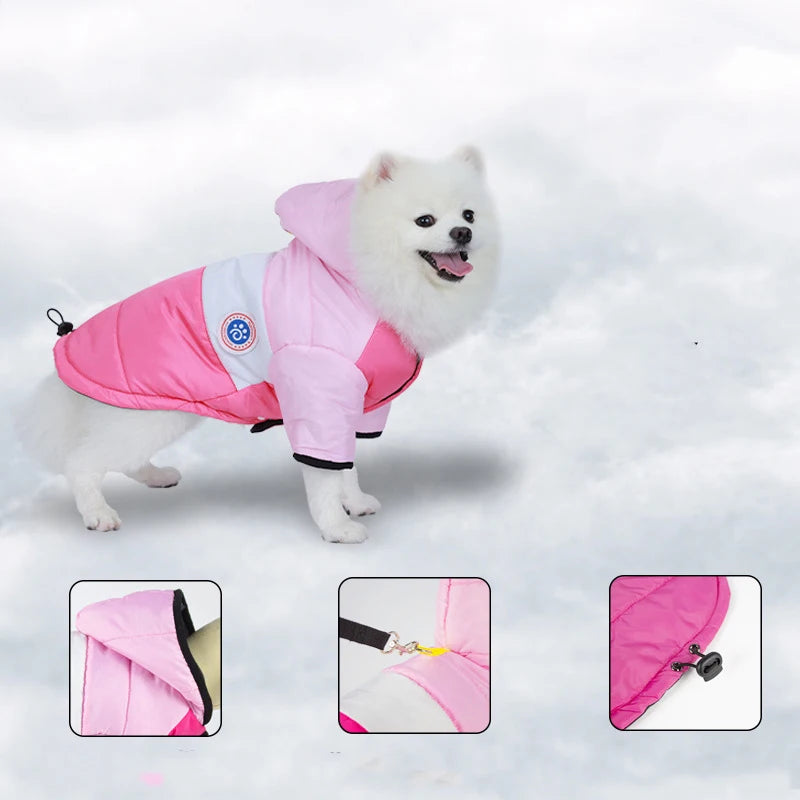 Bright & Bold Canine Raincoat: Stay Dry in Style