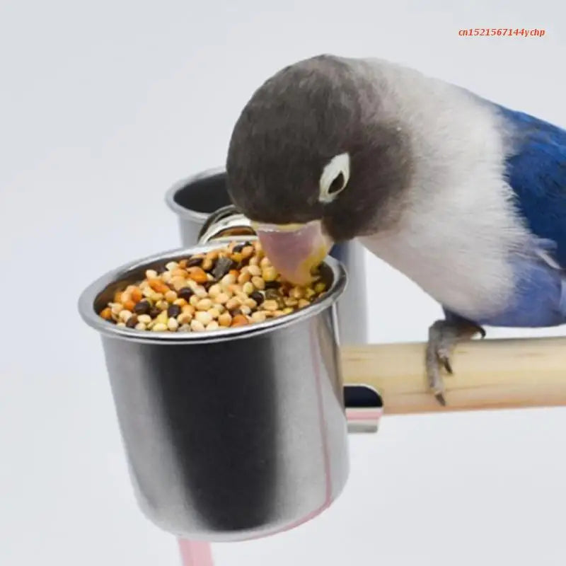 Twin Stainless Bird Feeder