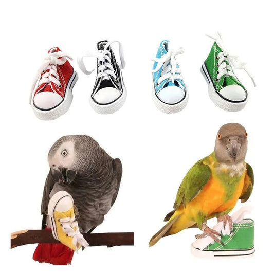 Petite Parrot Playtime Sneakers