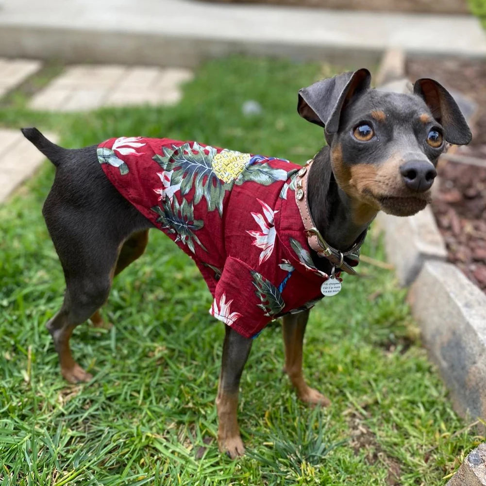 Island Breeze Shirt: Tropical Bliss for Your Pup