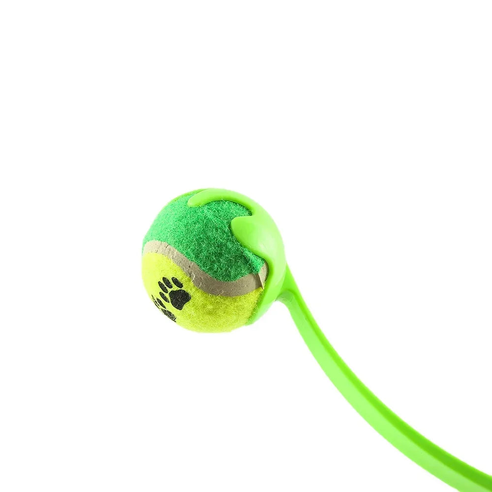 Dog Training Toss Toy