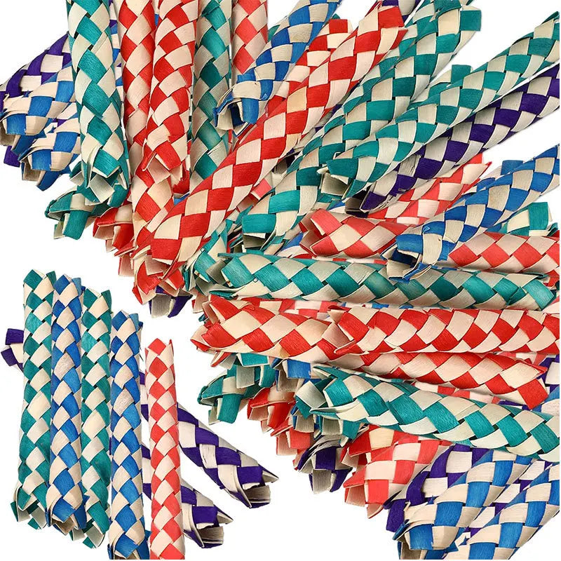 Colorful Parrot Chew Ropes