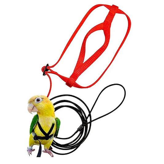 Adjustable Parrot Safety Harness