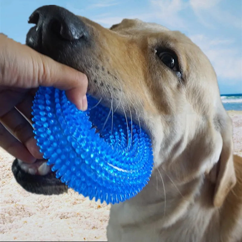 Molar Bite Dog Toy