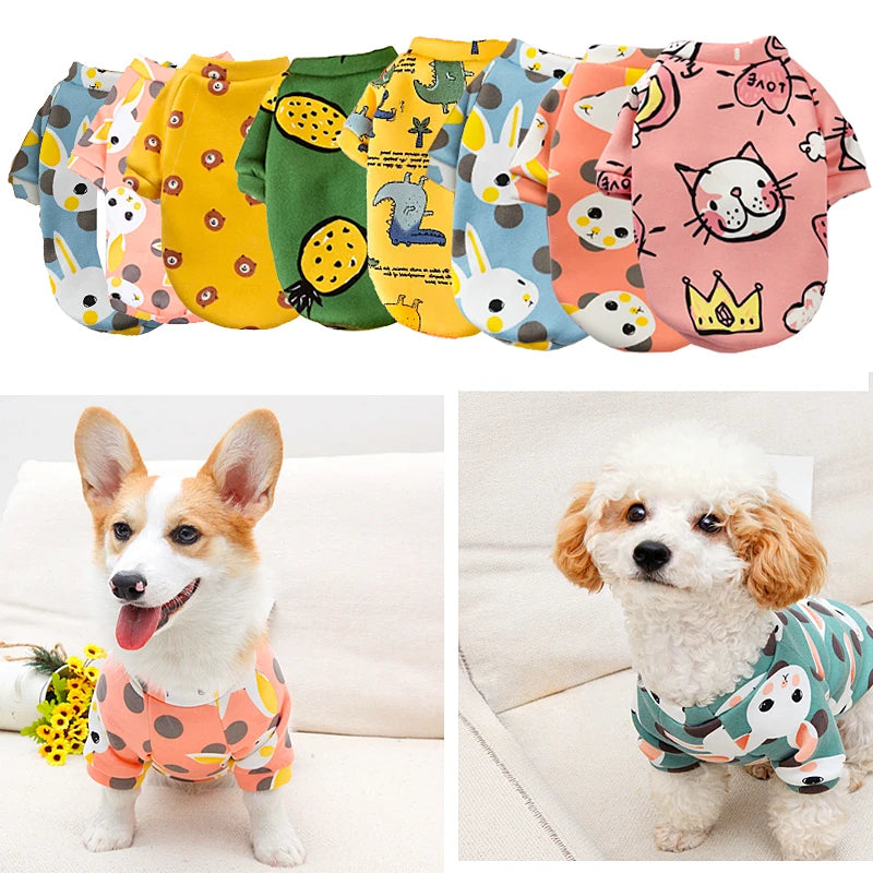 Pawsitively Charming Pet Shirt