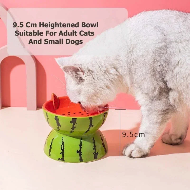 cute cat food bowl watermelon design