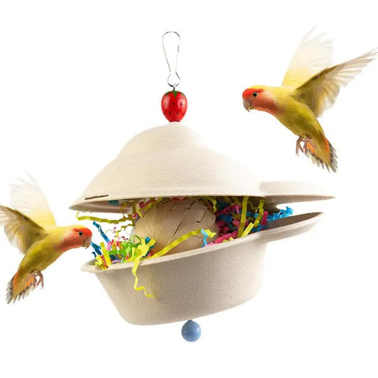 Creative Foraging bird Toy