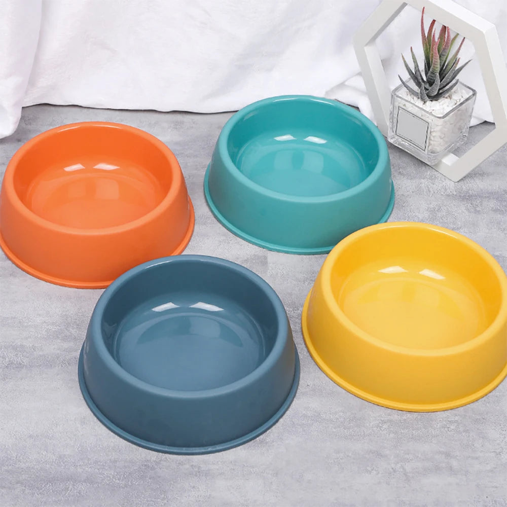 Colorful Pet Feeding Bowl