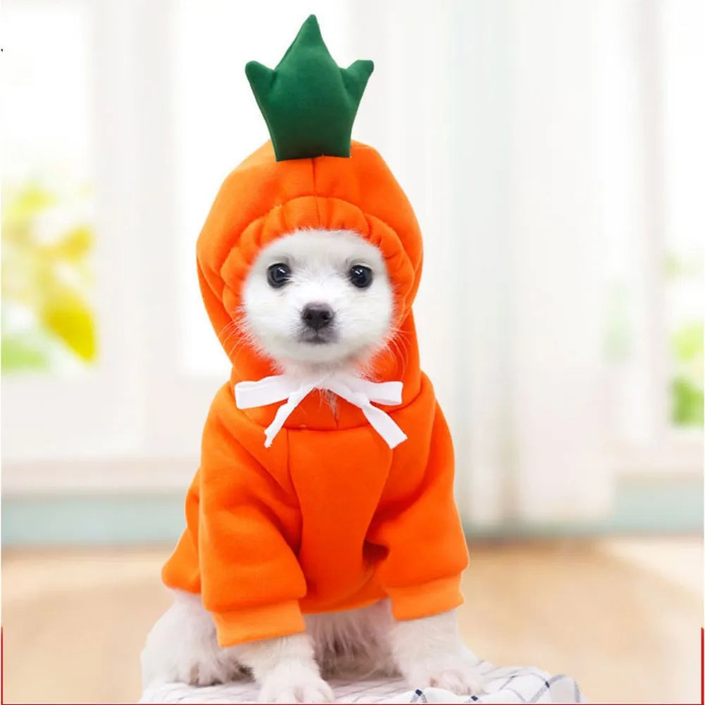 Fruit Themed Pet Hoodie : Colorful & Cozy Pet Apparel