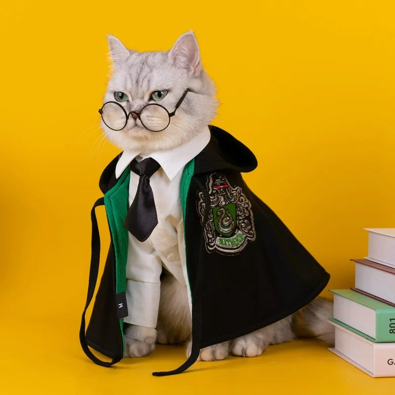 Potter Cat Wizard Costume