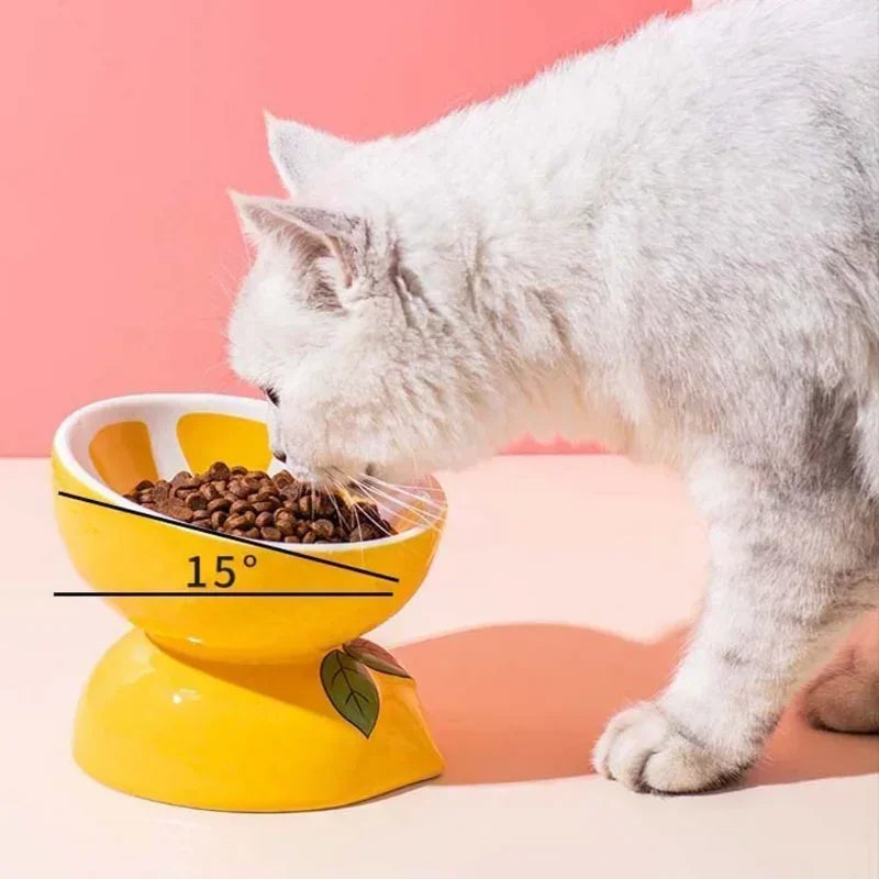 Lemon Ceramic Cat Bowl