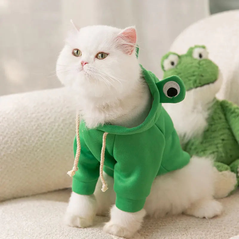 Cute Frog Cat Outfit