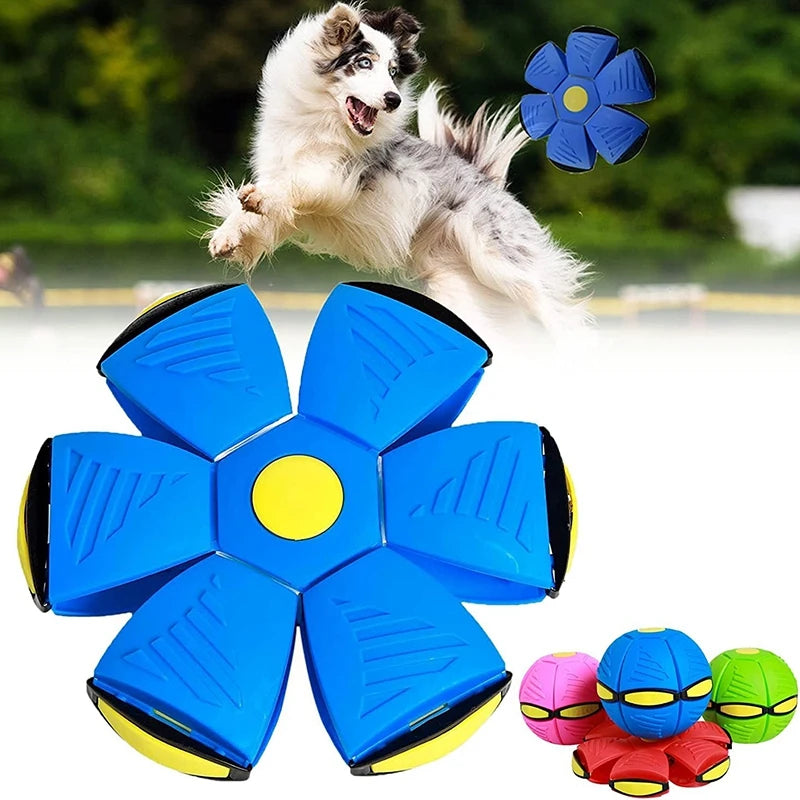 Outdoor Dog Training Toy Flexible Flying Disc