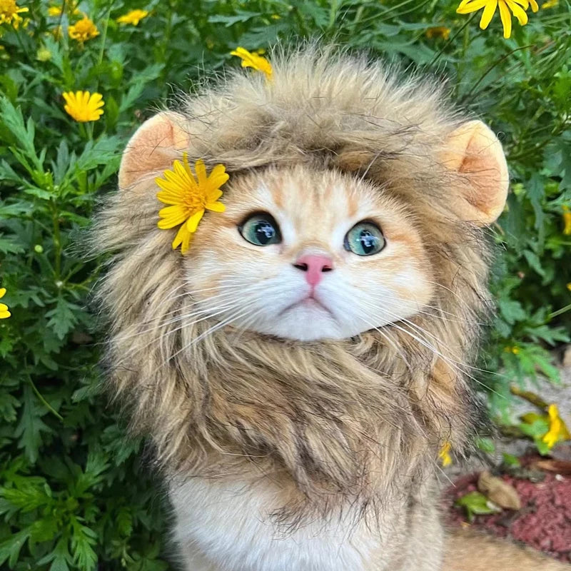 Lion costume for cat - Lion Wig