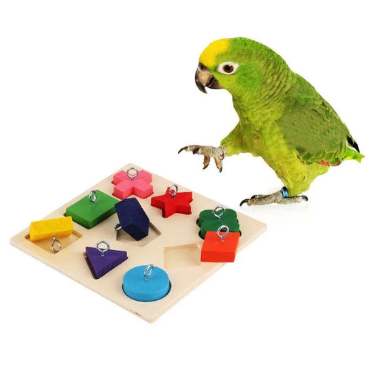 Bird Brain Training Puzzle