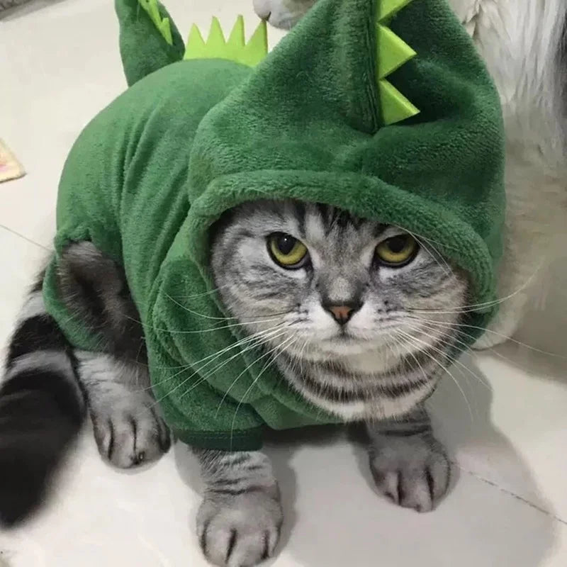 Dino Delight Cat Costume