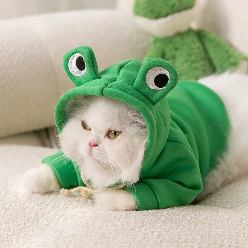 Cute Frog Cat Outfit