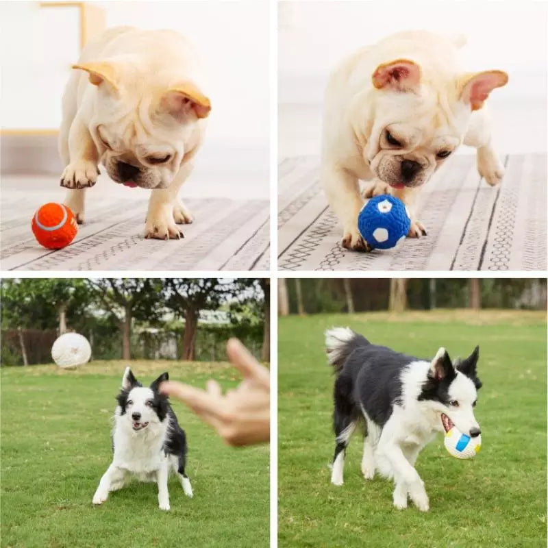 Puppy Volleyball Play Ball