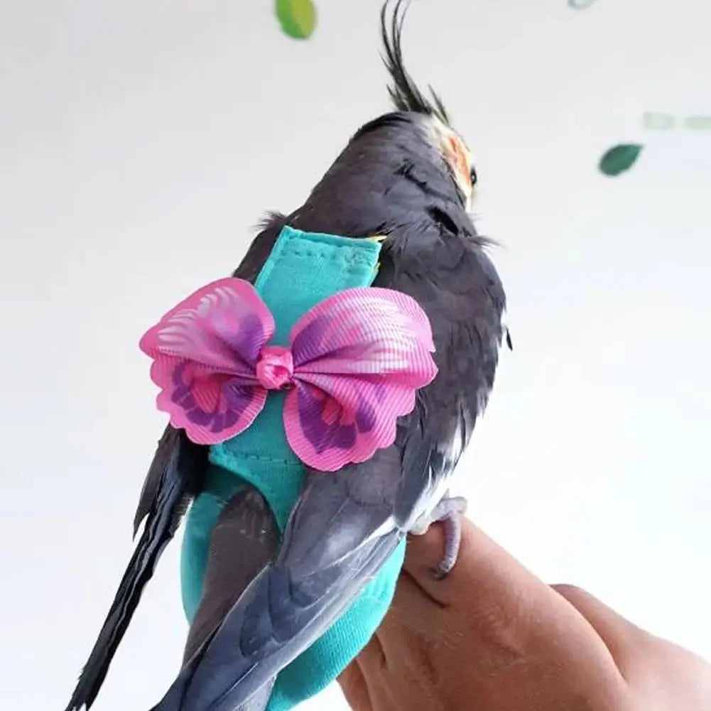 Parrot Diaper Bow Accessory with leash