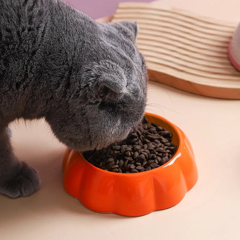 Colorful Watermelon Cat Bowl