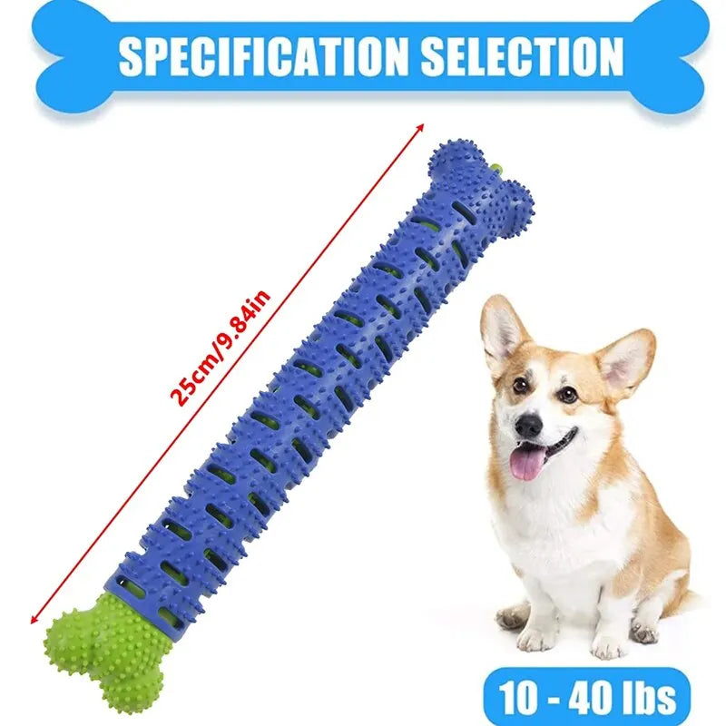 Bone Shape Dog Toothbrush