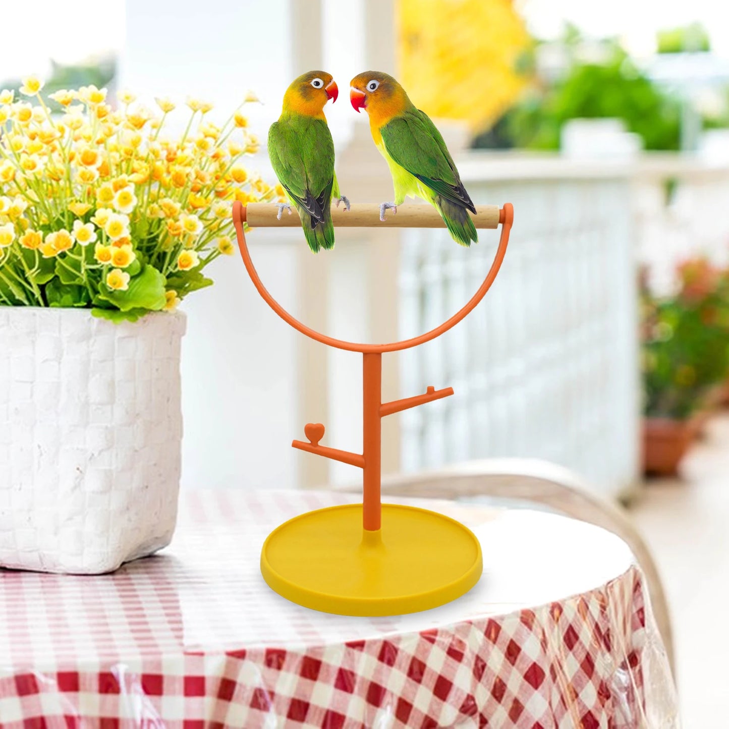 Playful Parrot Standing Perch