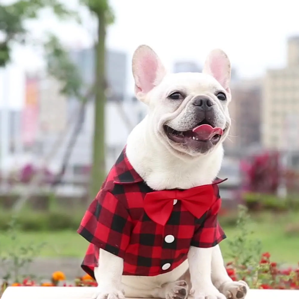 Checkered Bowtie Pet Shirt - Stylish Dog and Cat Plaid Outfit