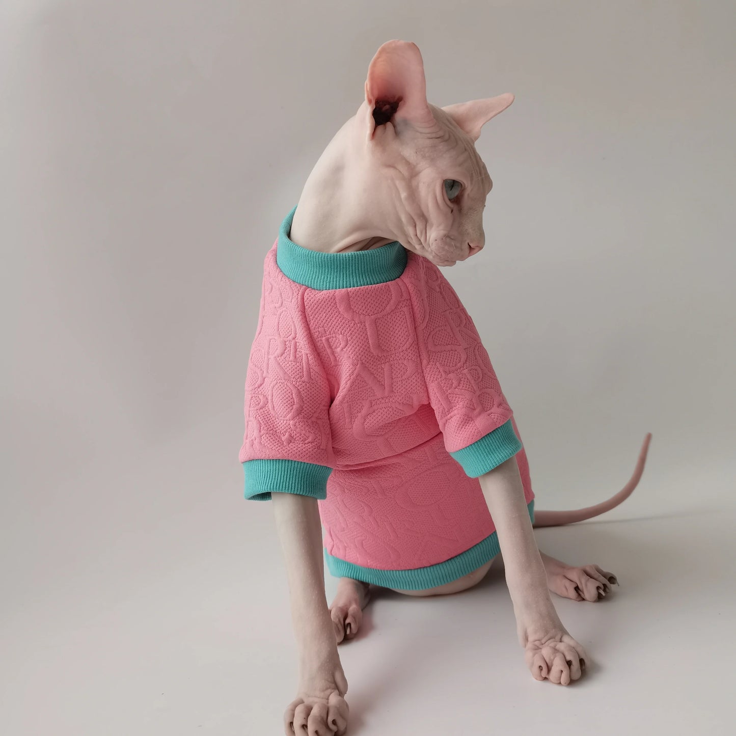 Cozy Kitty Pink Sweater