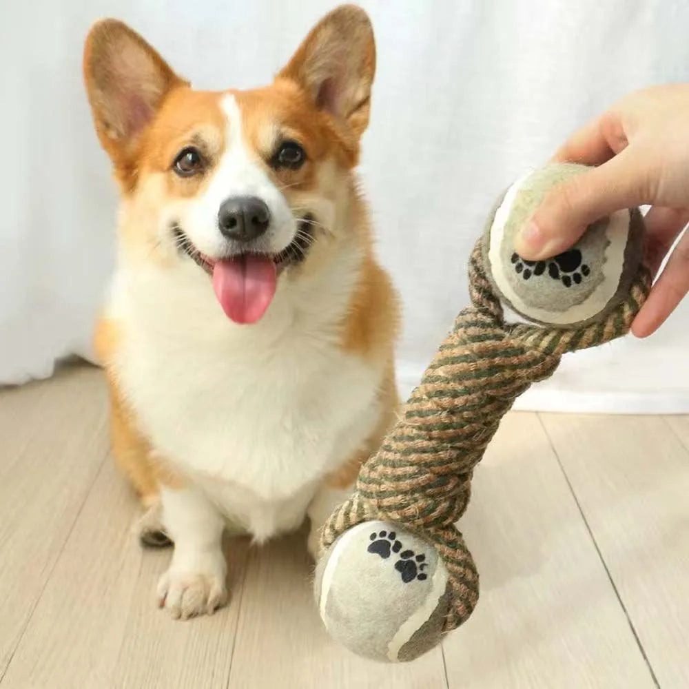 Playful Rope Dog Toy