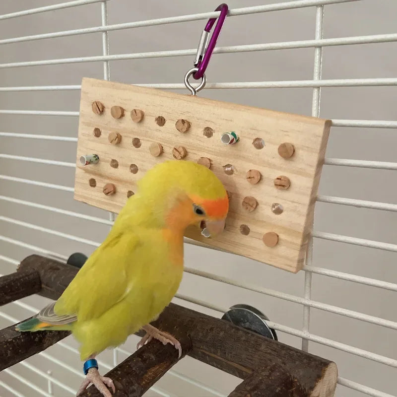 Parrot Enrichment Puzzle Feeder