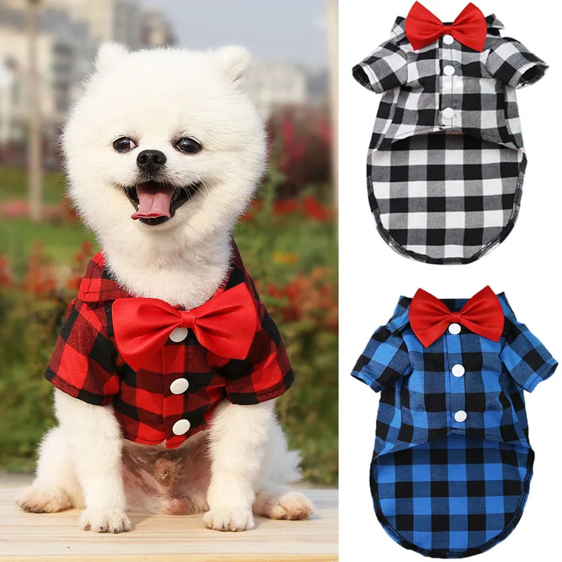 Checkered Bowtie Dog Shirt