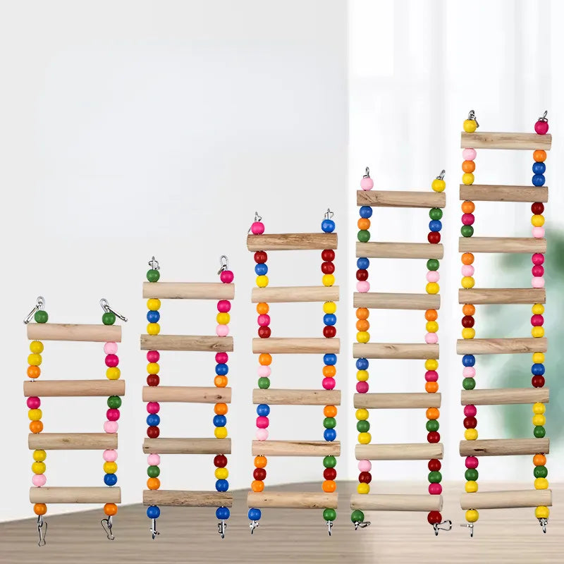 Colorful Bird Play Ladder