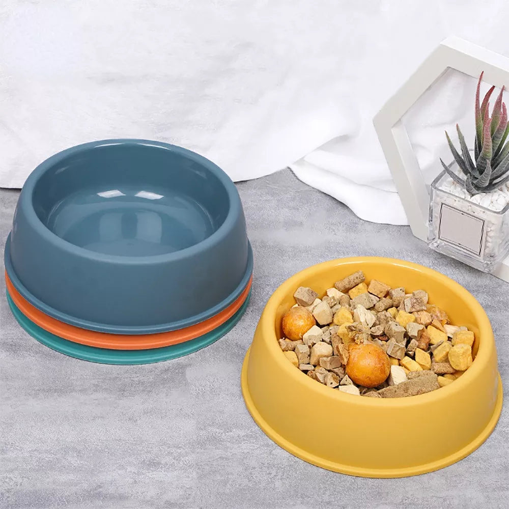 Colorful Pet Feeding Bowl