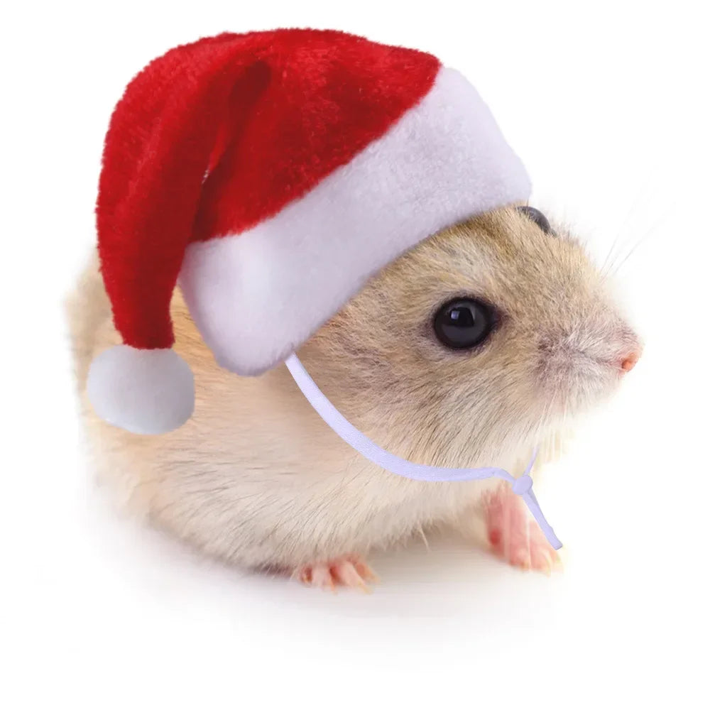 Christmas Cheer Hamster Cap