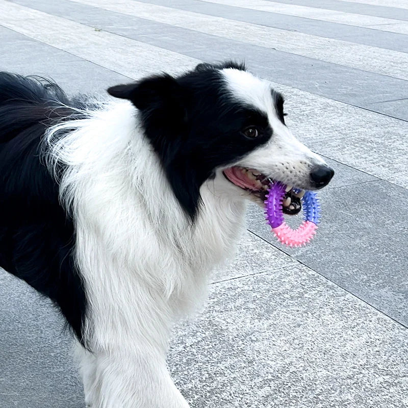 Dog Tooth Cleaning Ring for Molar Chewing