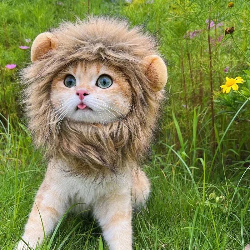 Lion costume for cat - Lion Wig