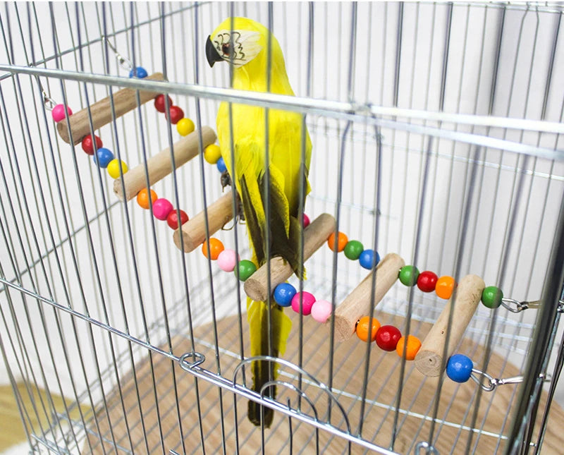 Colorful Bird Play Ladder