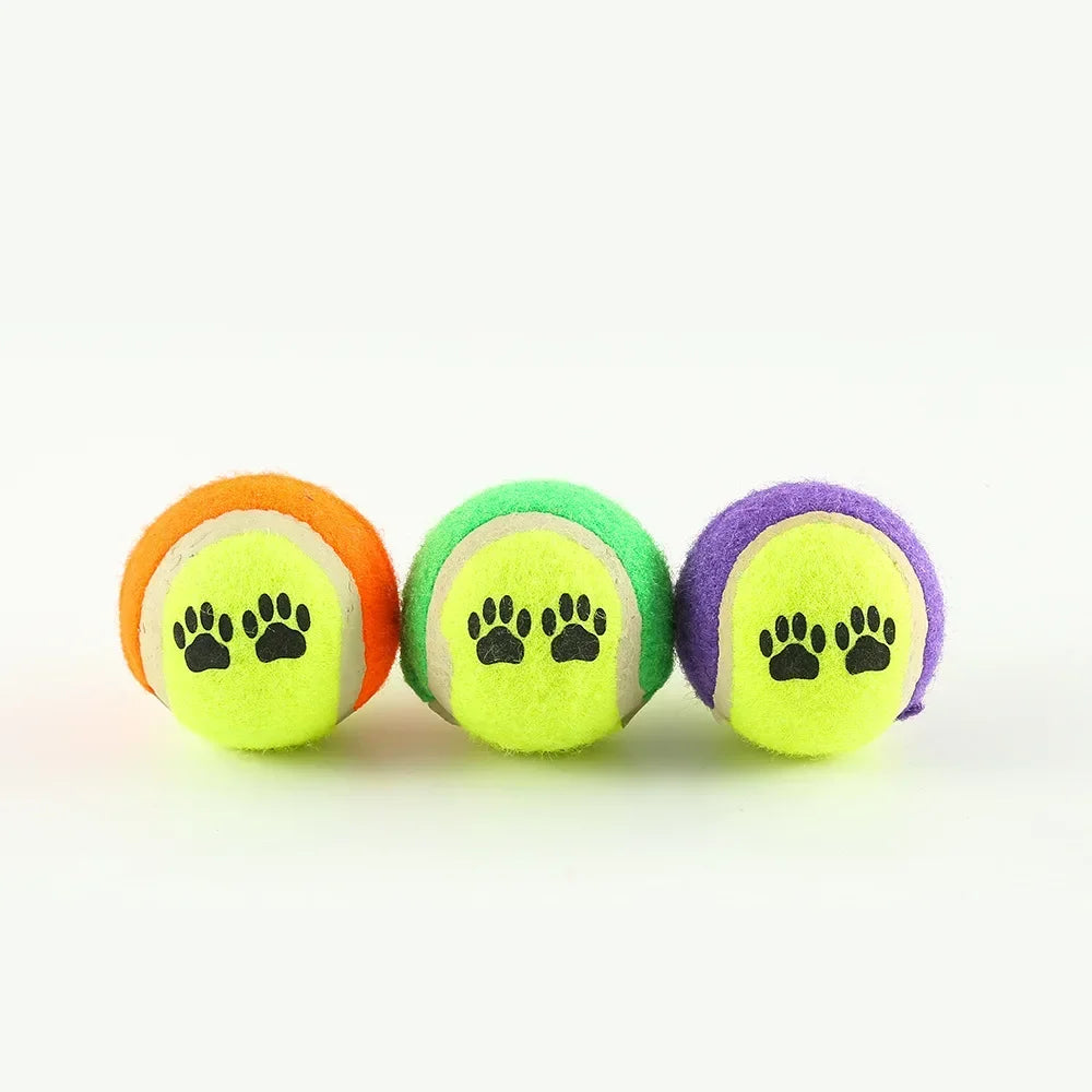 Dog Training Toss Toy