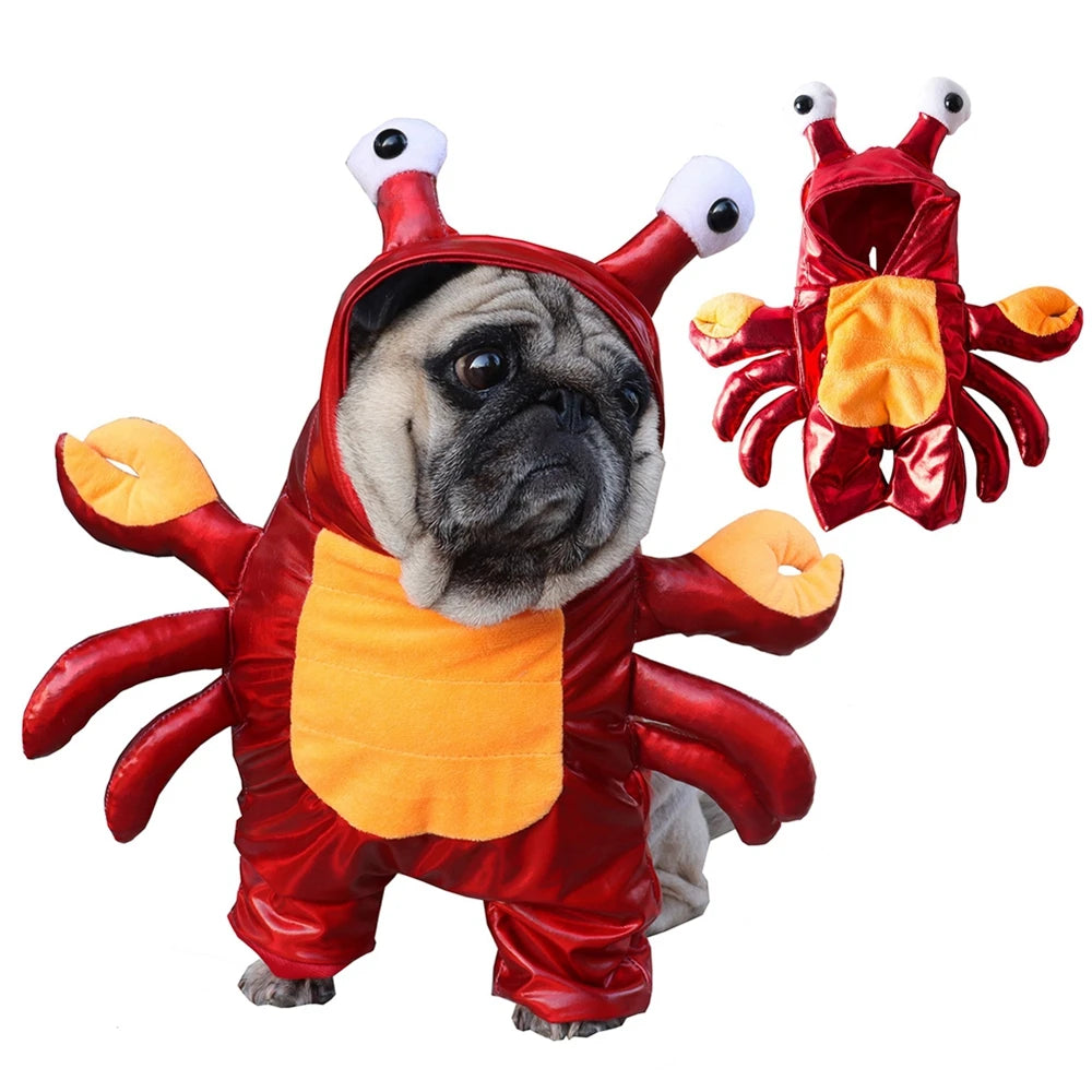 Crab Costume for Dog: Unique Style & Fun for Your Pet!