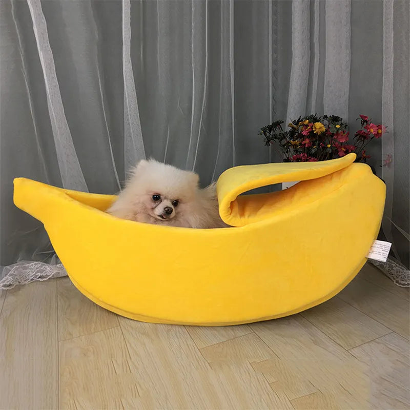 Adorable Banana Cat Nest