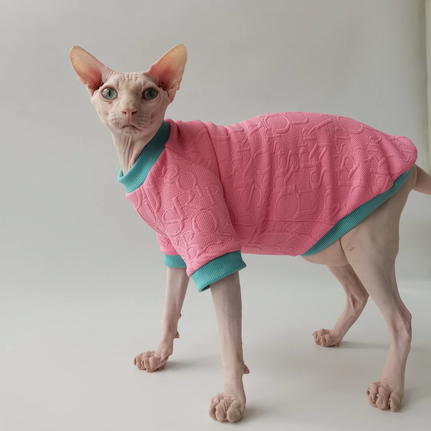 Cozy Kitty Pink Sweater